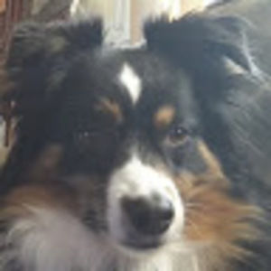 Meet your Posher, Adrianna